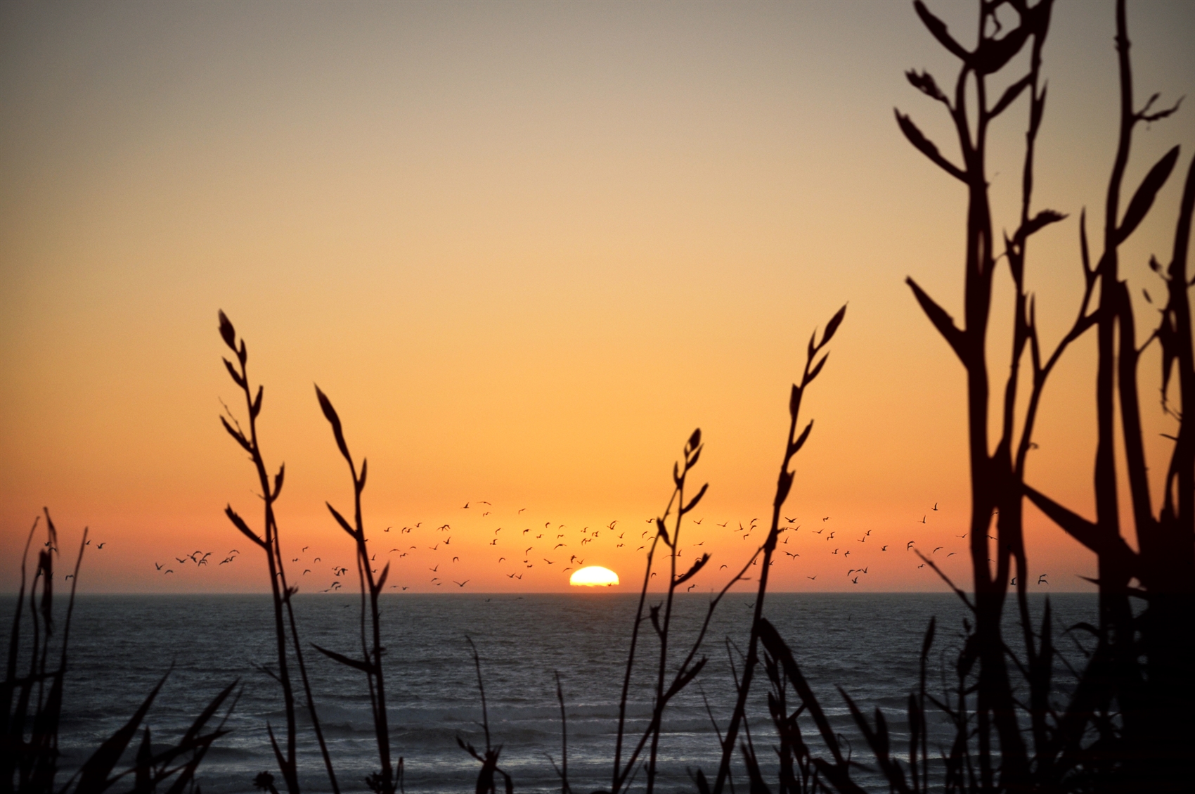 Disability-care-settings.jpg Sunrise over ocean