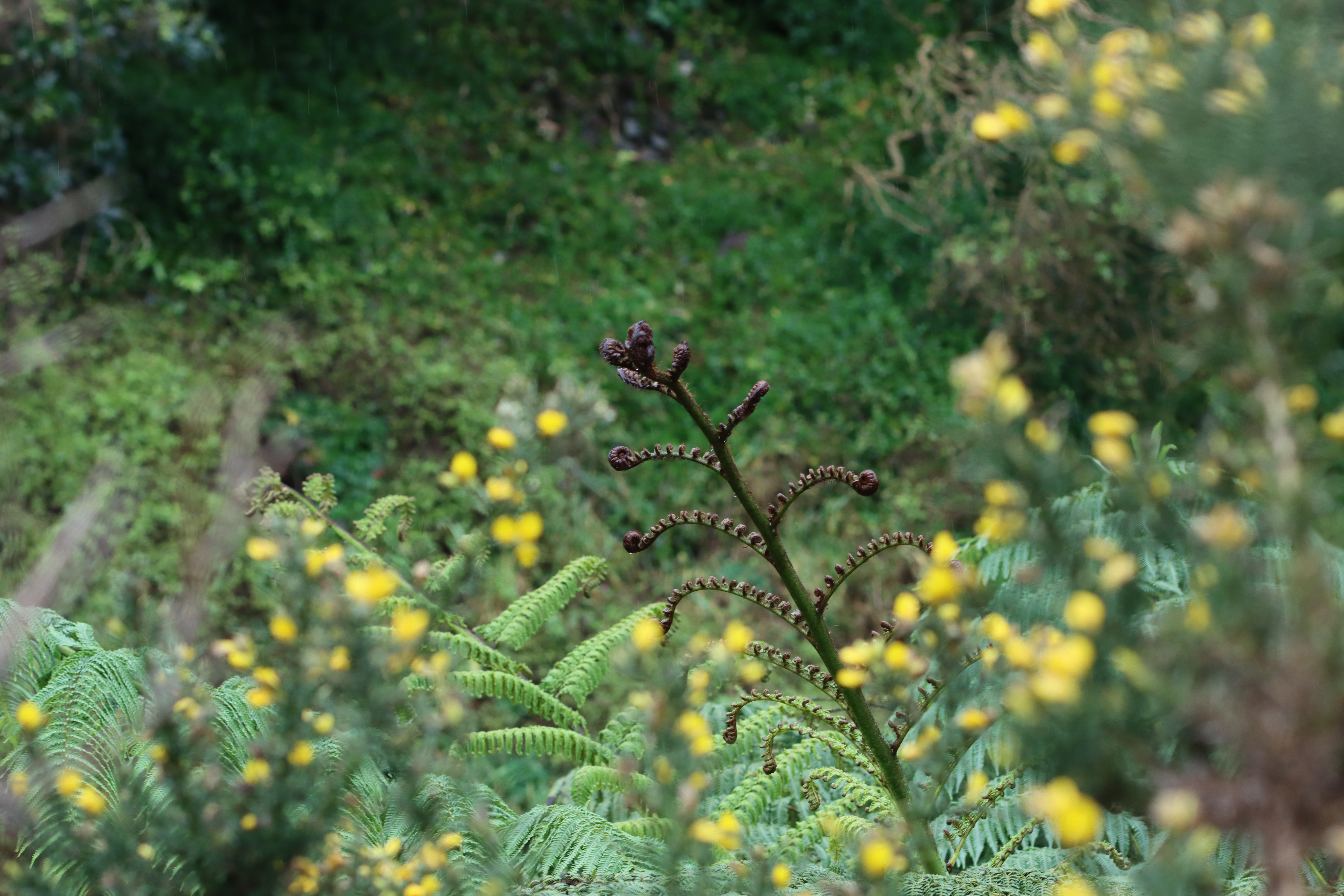 IMG_5849-v2.JPG IMG 5849 v2