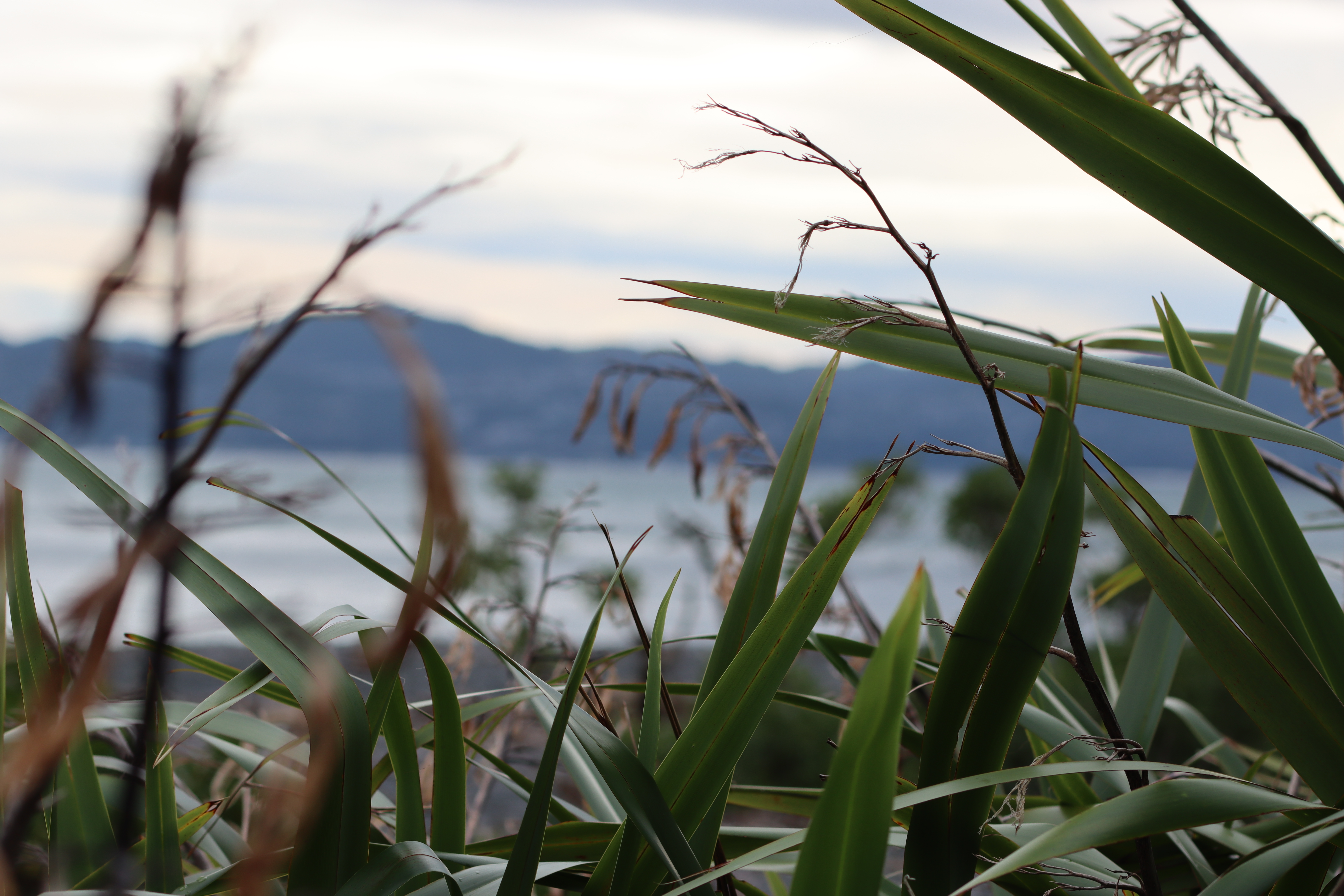 IMG_5734-v2.JPG IMG 5734 v2
