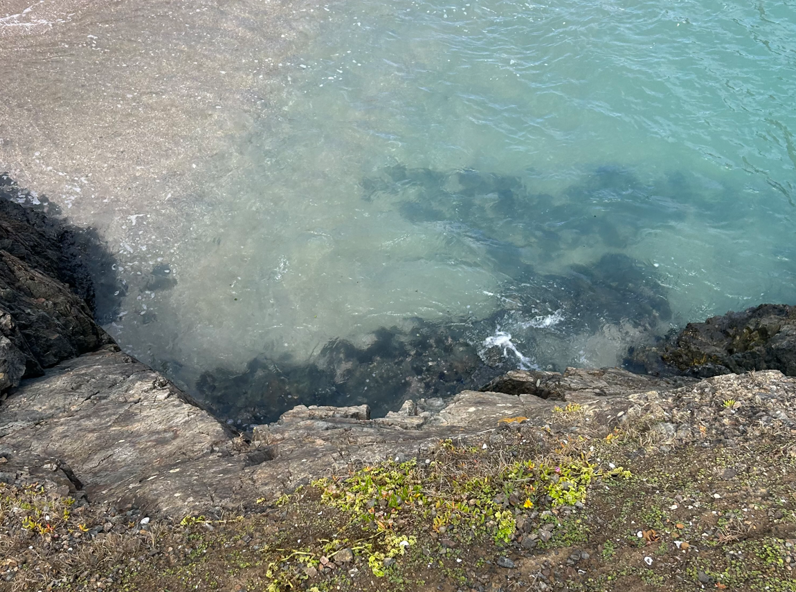 water-ss.PNG water ss