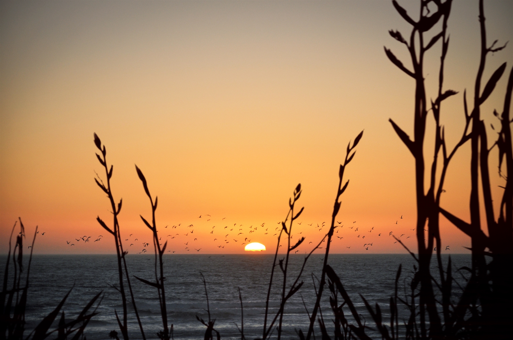 Sunrise over ocean