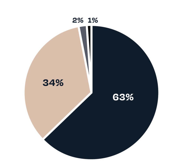 A pie graph showing the percentages described above