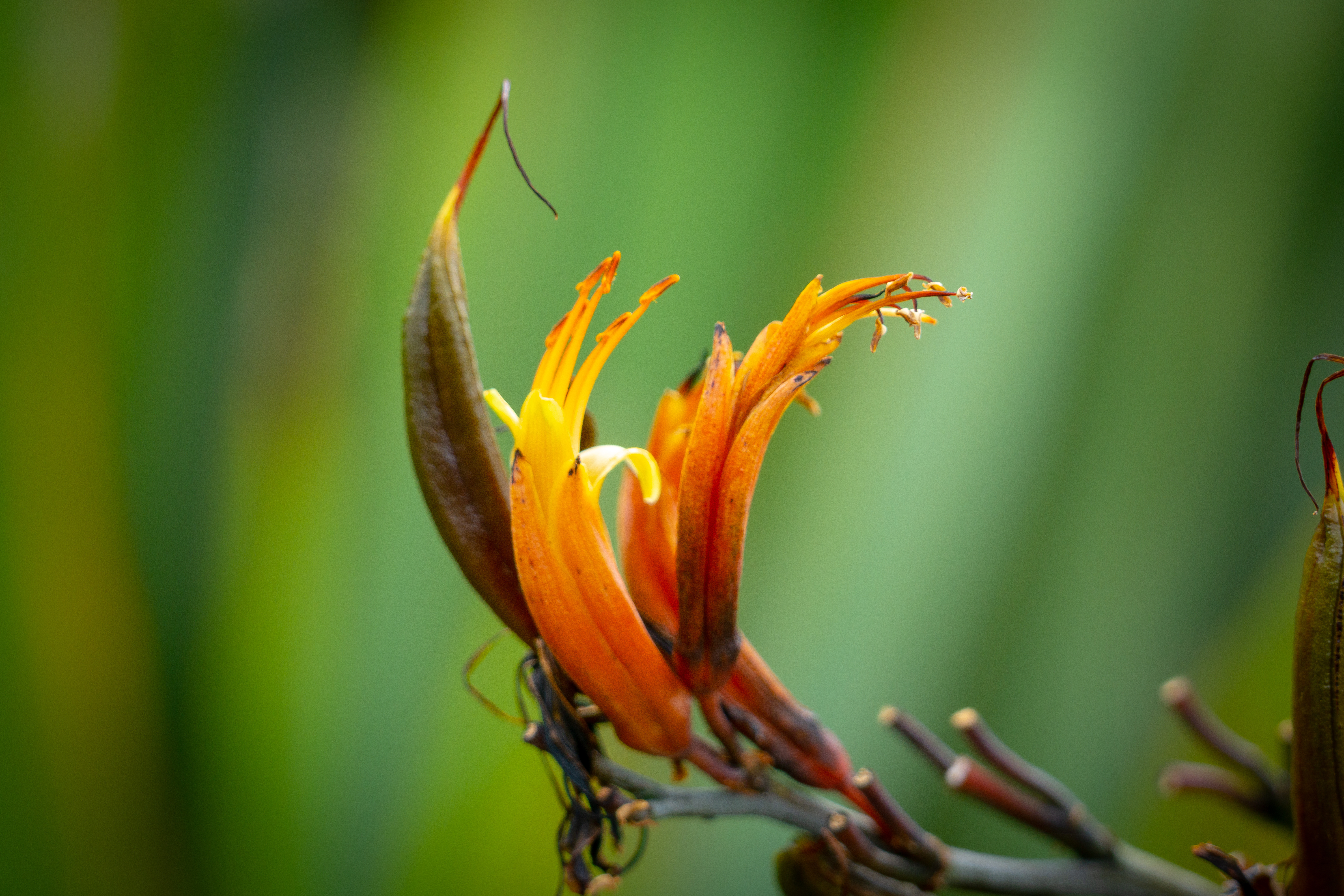 AdobeStock 241610729